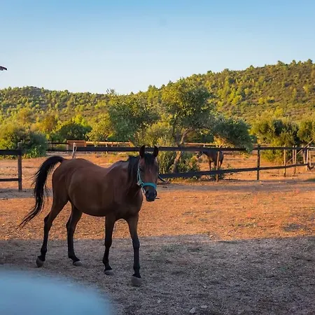 Horse House Ivinj Villa