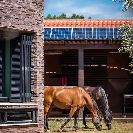 Horse House Ivinj