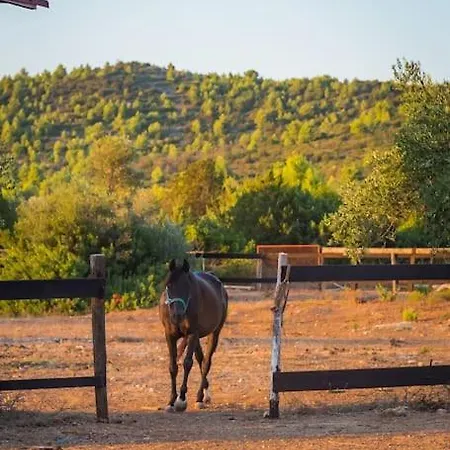 Horse House Ivinj Villa Tisno