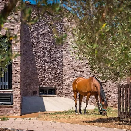 Horse House Ivinj *