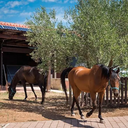 Horse House Ivinj Villa