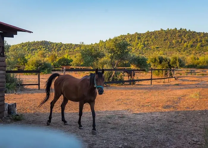 Horse House Ivinj Villa