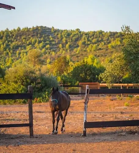 Horse House Ivinj Villa Tisno