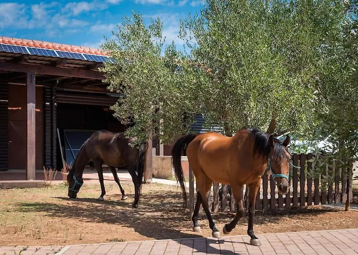 Horse House Ivinj ヴィラ